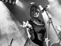 BL-40 : Amadou Diolo, Plein les Watts, festival, genève, live, music, plan-les-ouates, suisse, swiss