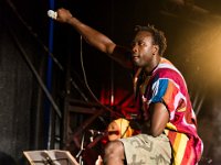 BL-44 : Amadou Diolo, Plein les Watts, festival, genève, live, music, plan-les-ouates, suisse, swiss