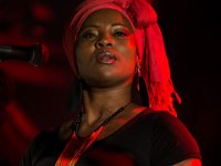 BL-45 : Amadou Diolo, Plein les Watts, festival, genève, live, music, plan-les-ouates, suisse, swiss